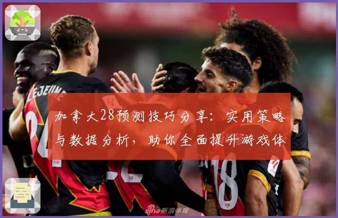 加拿大28预测技巧分享：实用策略与数据分析，助你全面提升游戏体验