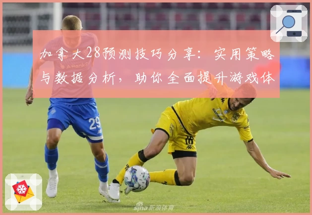 加拿大28预测技巧分享：实用策略与数据分析，助你全面提升游戏体验