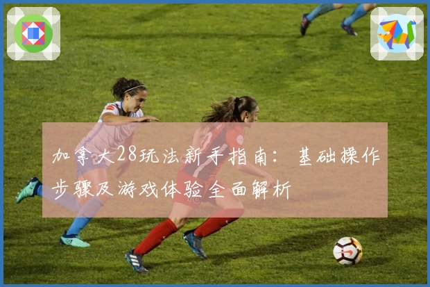 加拿大28玩法新手指南：基础操作步骤及游戏体验全面解析