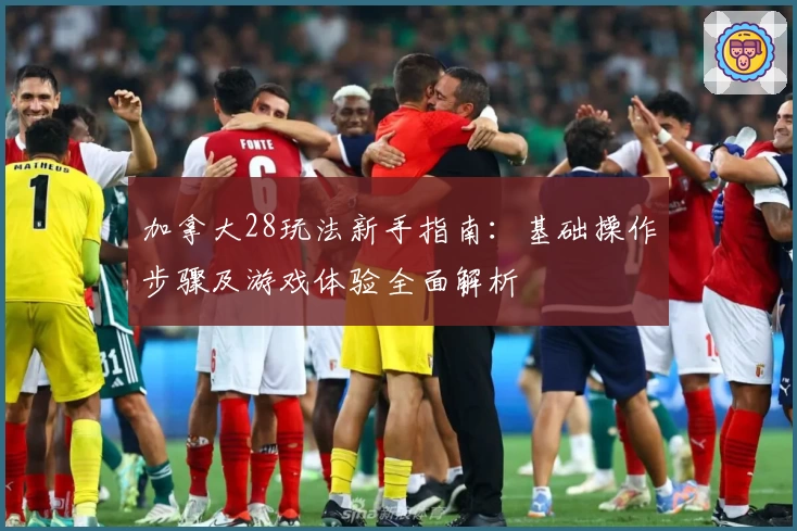 加拿大28玩法新手指南：基础操作步骤及游戏体验全面解析