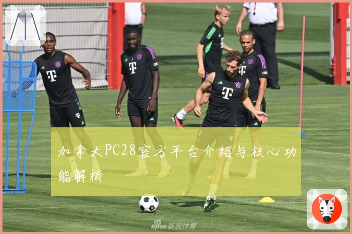 加拿大PC28官方平台介绍与核心功能解析