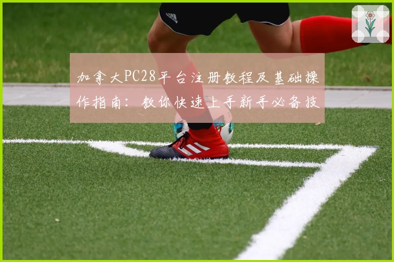 加拿大PC28平台注册教程及基础操作指南：教你快速上手新手必备技能