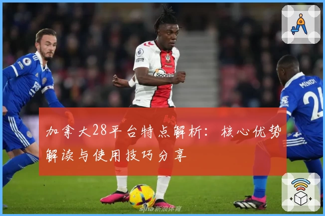 加拿大28平台特点解析：核心优势解读与使用技巧分享
