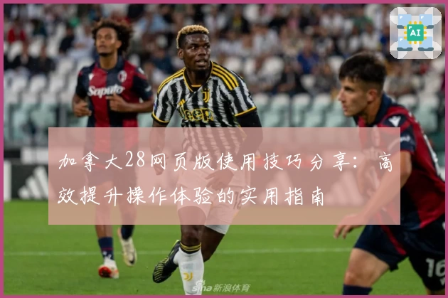 加拿大28网页版使用技巧分享：高效提升操作体验的实用指南