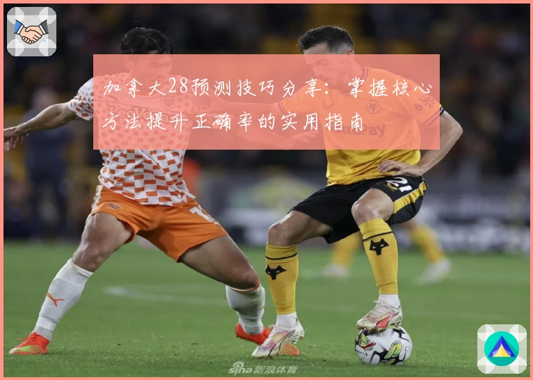加拿大28预测技巧分享：掌握核心方法提升正确率的实用指南