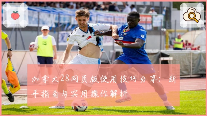 加拿大28网页版使用技巧分享：新手指南与实用操作解析
