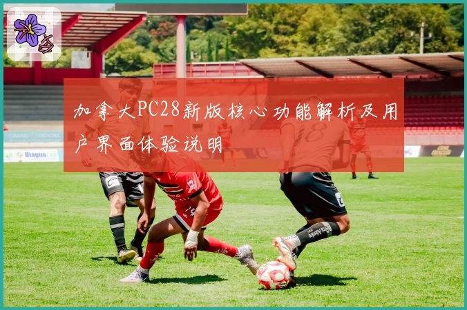 加拿大PC28新版核心功能解析及用户界面体验说明