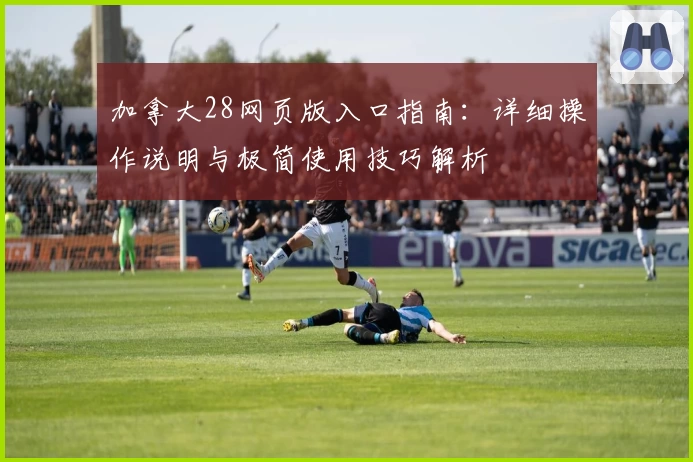 加拿大28网页版入口指南:详细操作说明与极简使用技巧解析