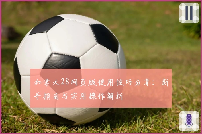 加拿大28网页版使用技巧分享：新手指南与实用操作解析
