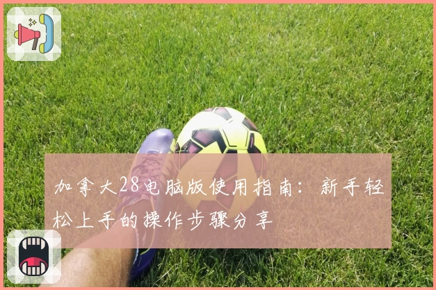 加拿大28电脑版使用指南：新手轻松上手的操作步骤分享