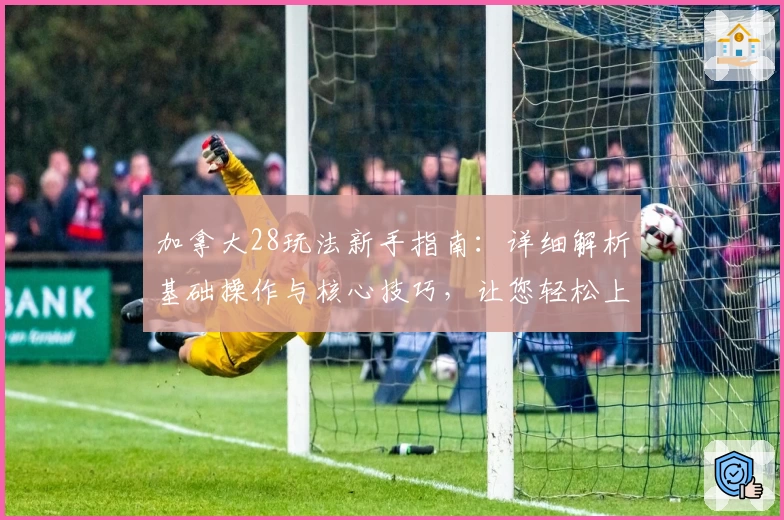加拿大28玩法新手指南：详细解析基础操作与核心技巧，让您轻松上手平台